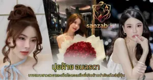 ปุยฝ้าย อมลรดา VK